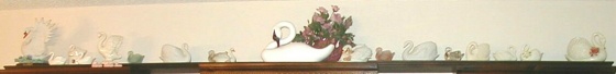 shelfofswans.jpg
